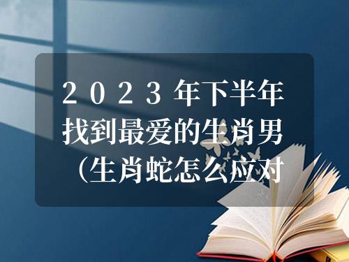 2023年下半年找到最愛的生肖男（生肖蛇怎么應對）