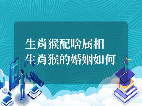 生肖猴配啥屬相 生肖猴的婚姻如何