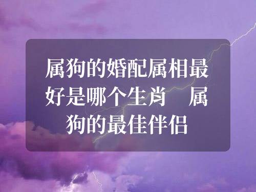 屬狗的婚配屬相最好是哪個生肖 屬狗的最佳伴侶