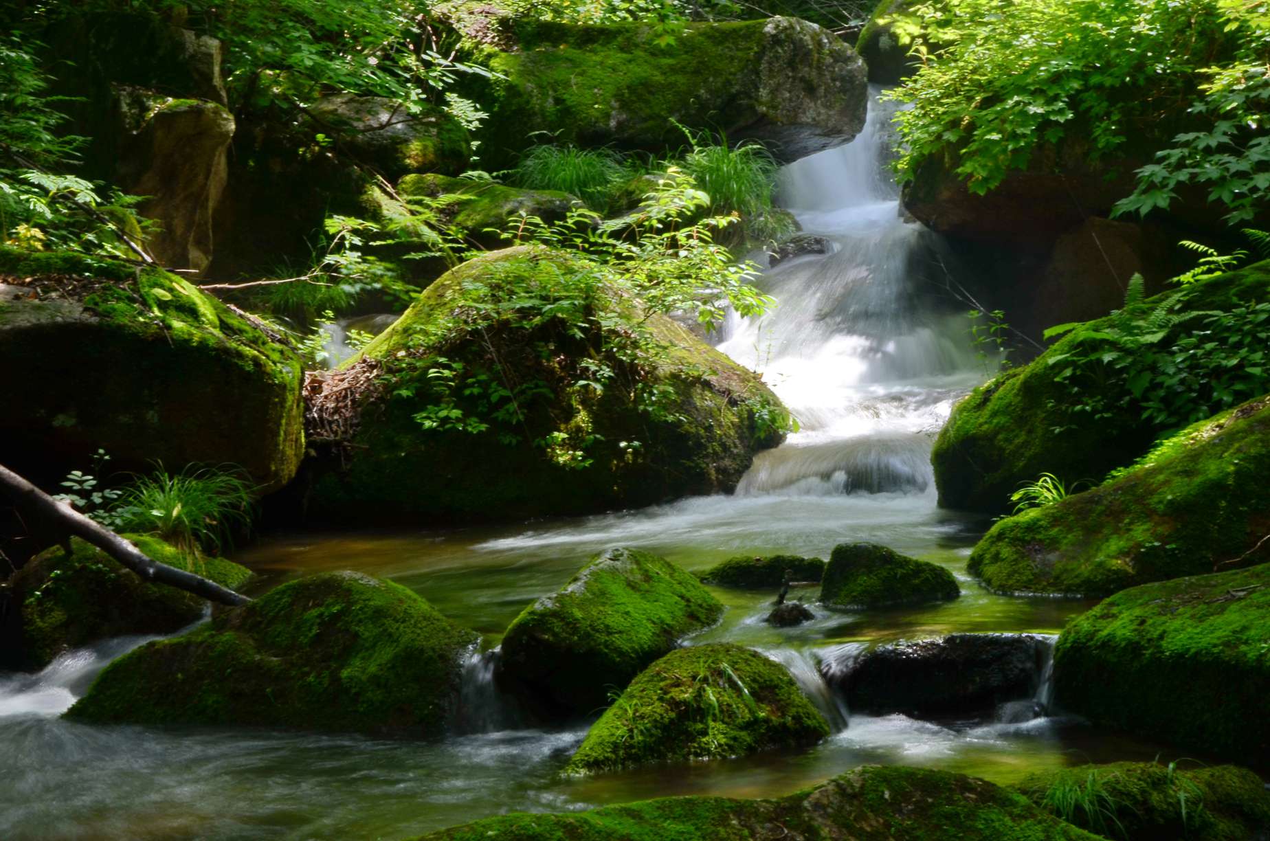 屬鼠的本周運(yùn)勢(shì)