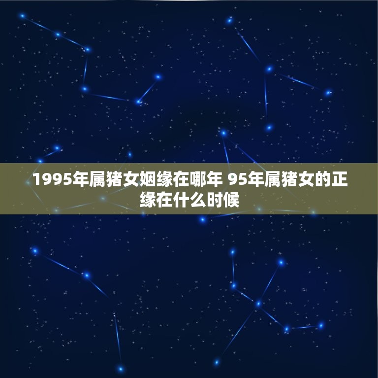 1995年屬豬人2024年運勢及運程詳解指南