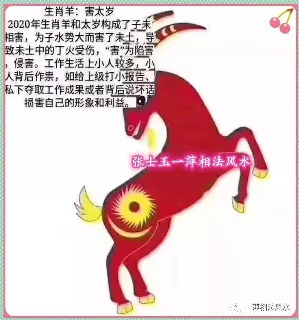 2024年屬鼠人的全年運(yùn)勢(shì)大解讀